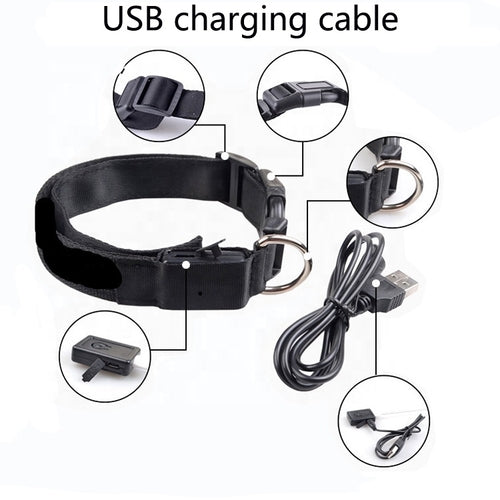 USB oppladbart halsbånd med lys