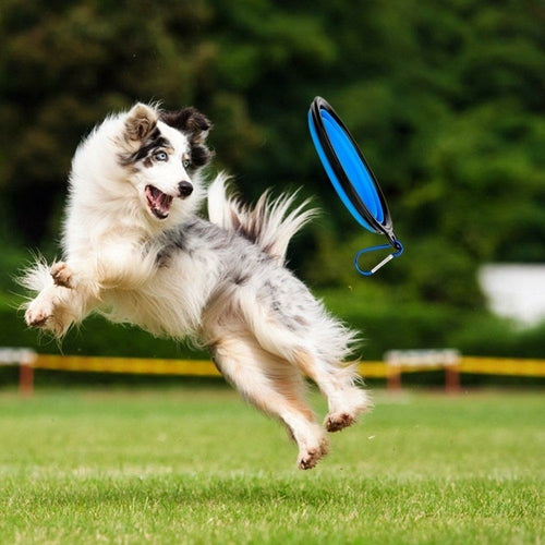 2 i 1 drikkeflaske og skål for hund